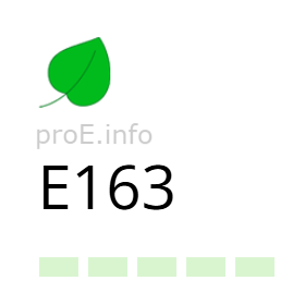 Aditivo E163