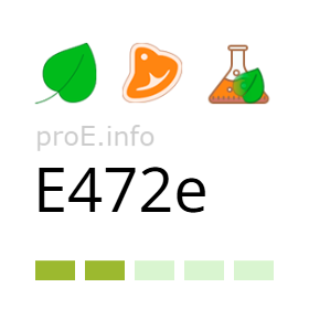 Additive E472e Additive E472e