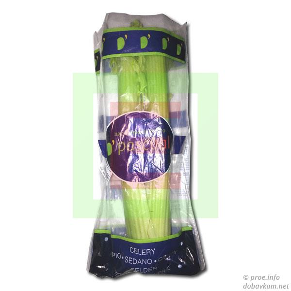 Celery