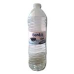Mineral water «Bankia source of life»